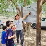בעקבות הנזירים ביער בן-שמן 27 באוקטובר 2026