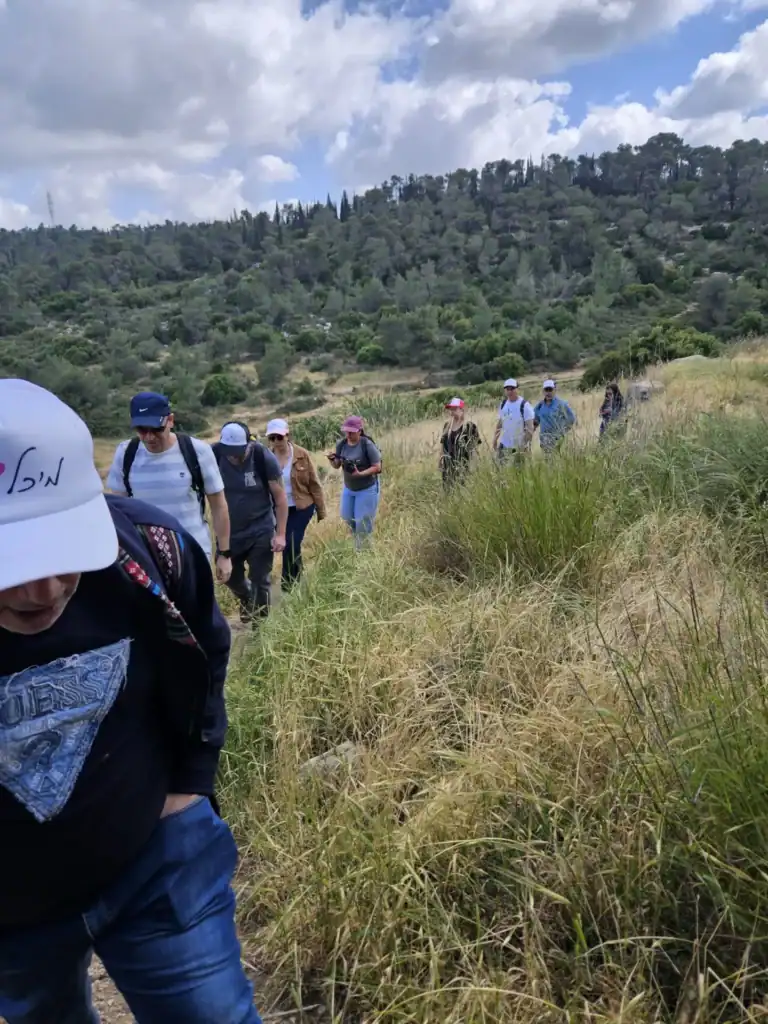 טיולים מותאמים אישית עבור מבוגרים. בטבע, בעיר ובהתאם לדרגת הקושי והעניין