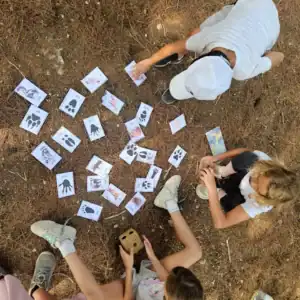 נטע-מטיילת קייטנת-היער קיץ-2026 שבוע-1