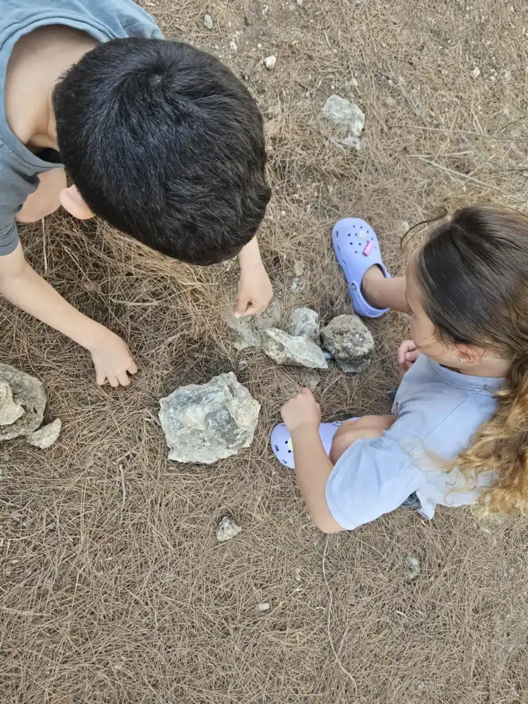 חוקרים ונהנים