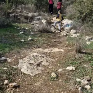 סיור שבת בגבעת שר פברואר 14 טו בשבט :)