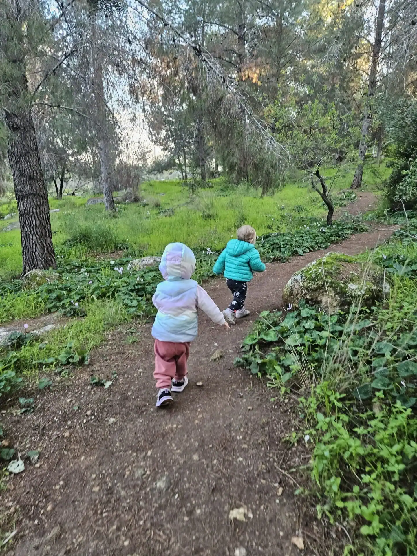 כייף עם הקטנטנים בטבע