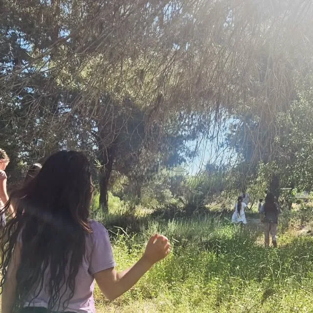 אינסטגרם &ndash; תמונות מהסופש האחרון ביער
