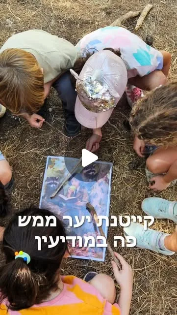 אינסטגרם &ndash; קייטנת יער במודיעין &ndash; מקומות אחרונים