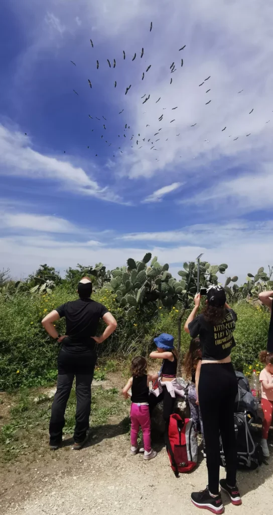 רואים בגבעה דברים מדהימים