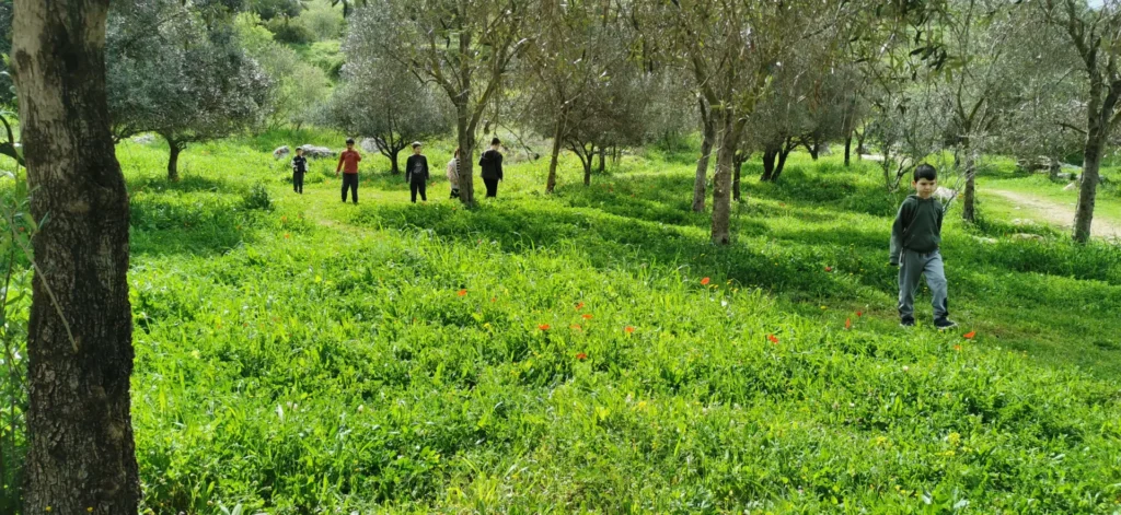 ילדים מטיילים בגבעת התיתורה